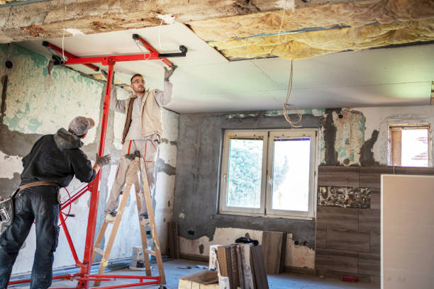 Best Wall Insulation Contractor  in Lodi, OH