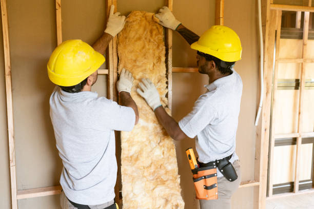 Best Professional Insulation Contractor  in Lodi, OH