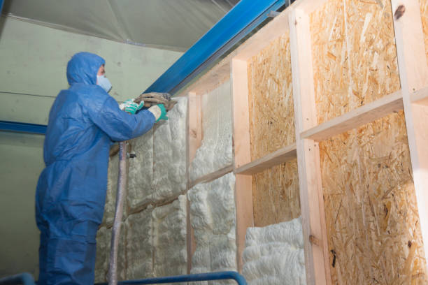 Best Attic Insulation Installation  in Lodi, OH