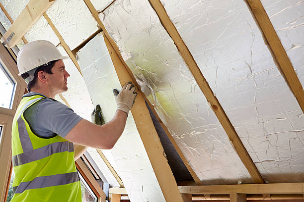 Best Residential Insulation Services  in Lodi, OH